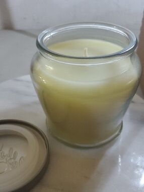 Cucumber Melon Designer jar Candle 12.5 oz Burn 65 hours Home Interiors retired